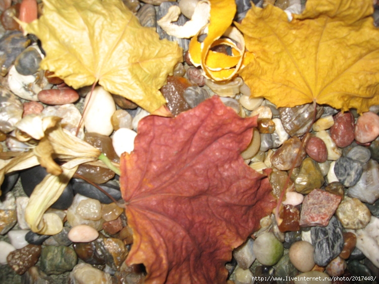 Осень, осень… Лес опал и листья сбросил^_^